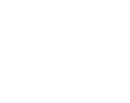 Decorative white image used as page spacer (no content)